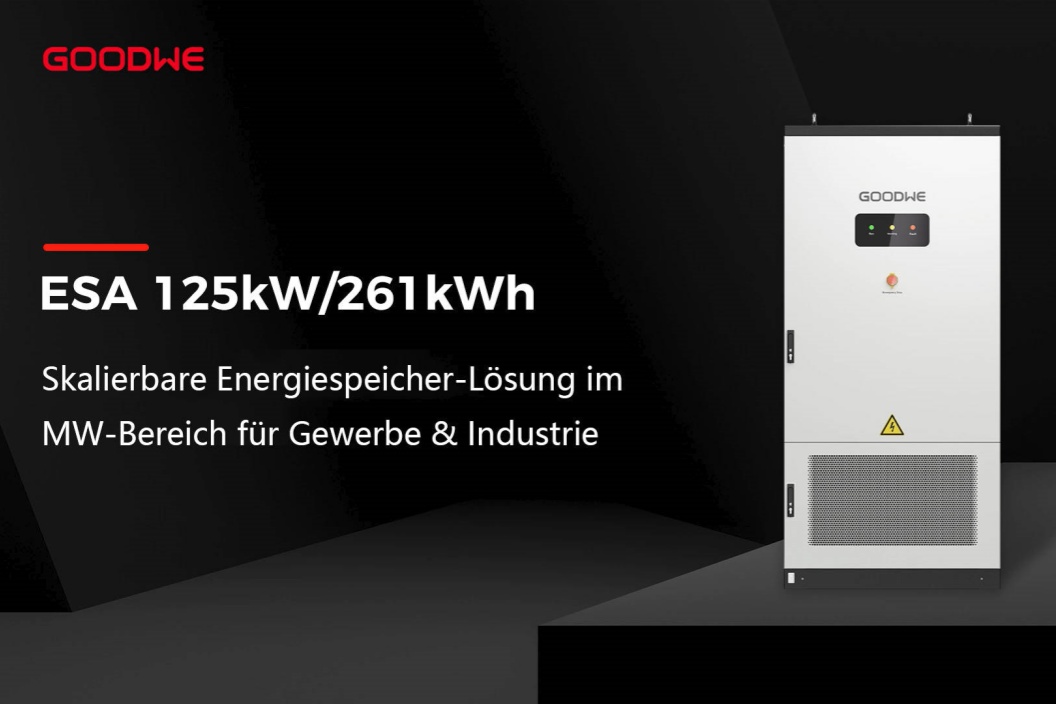 ESA125kW_DE_.jpg