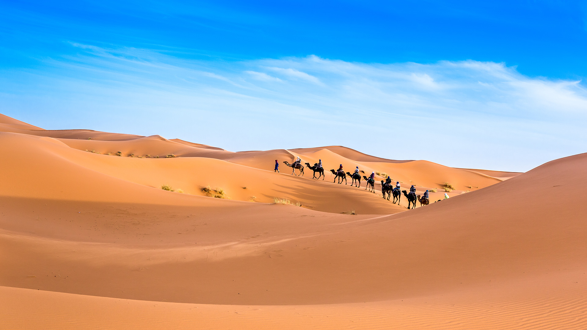 1661909092740474.jpg 1661909092740474.jpg